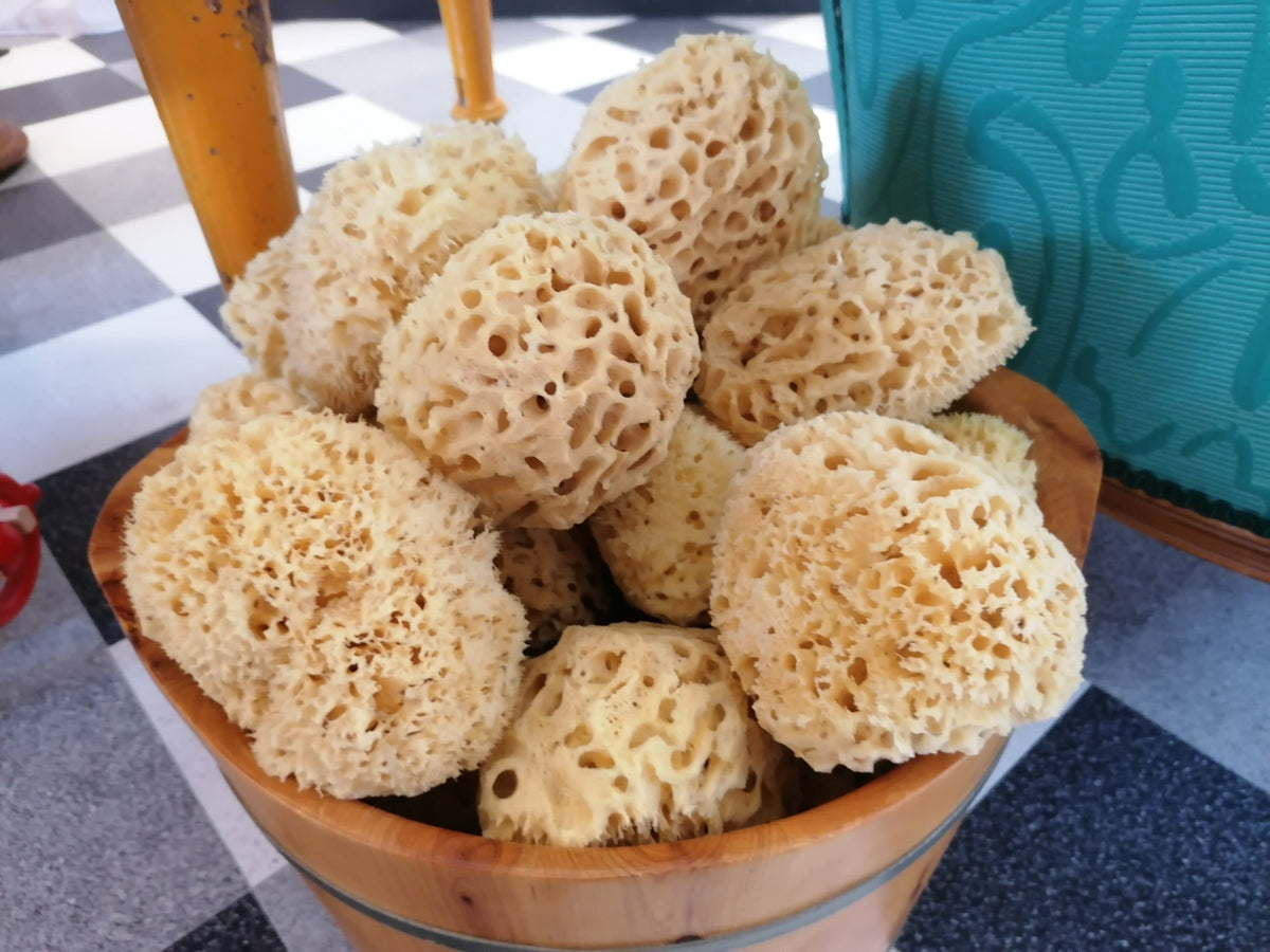 Are natural sea sponges good for my skin?