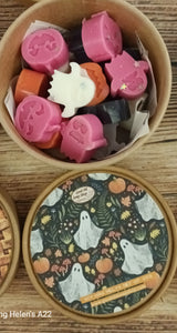 WAX MELTS (VARIOUS)
