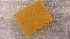 CAMINO SOAP