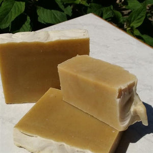 CAMPING SOAP