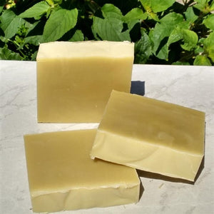 EUCALYPTUS SOAP / SHAVING SOAP